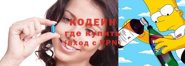 дмт Костерёво