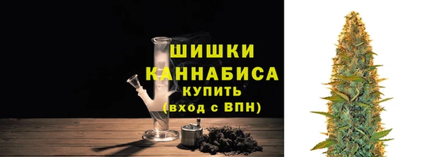 дмт Костерёво