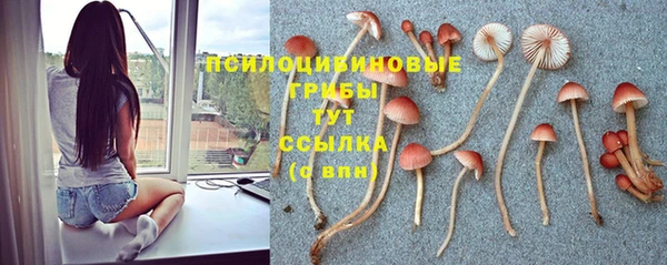 синтетический гашиш Корсаков