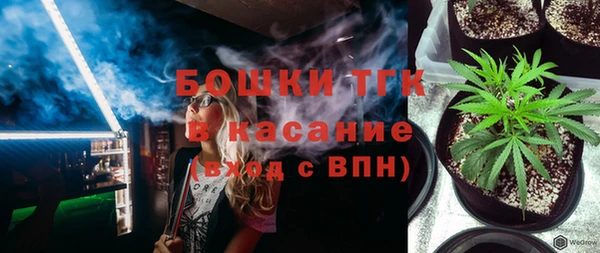 дмт Костерёво