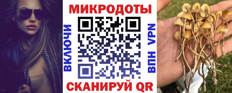Купить где  Нолинск  Галлюциногенные грибы Cubensis 